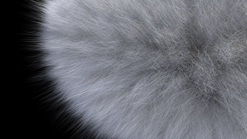 Кошачья шерсть