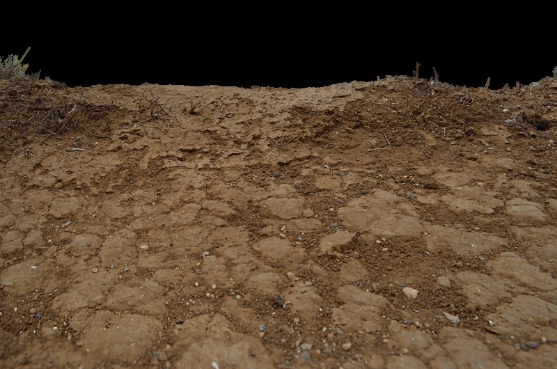 Земля без травы