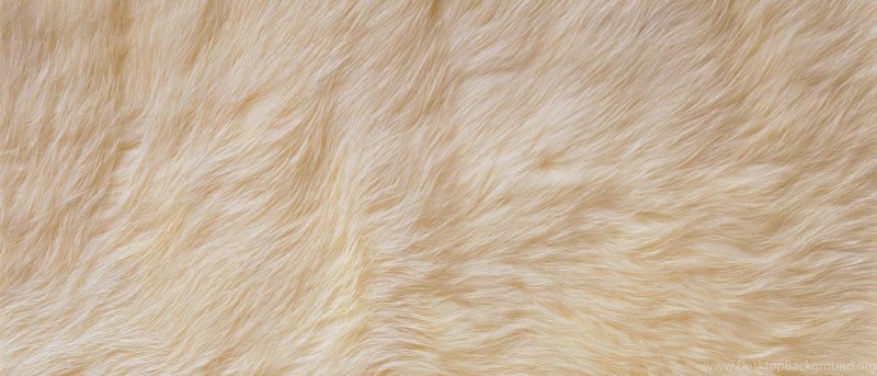 Текстура шерсти