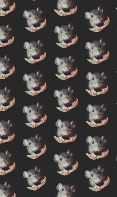 Фон с крысами