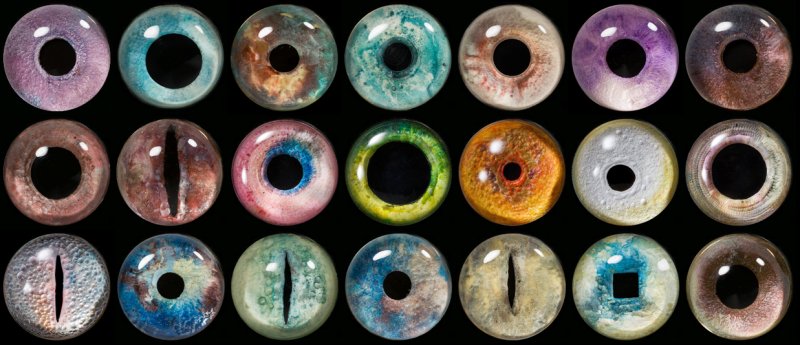 Реалистичные глаза для игрушек