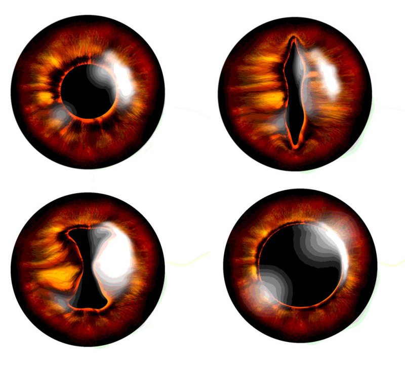 Зрачок демона