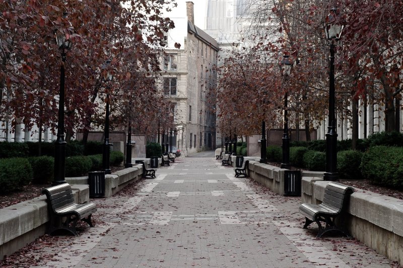 Аллея Нью Йорк