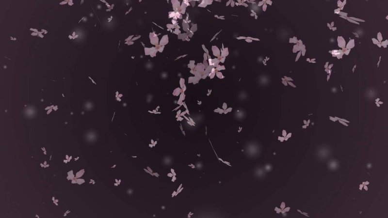 Листья Сакуры