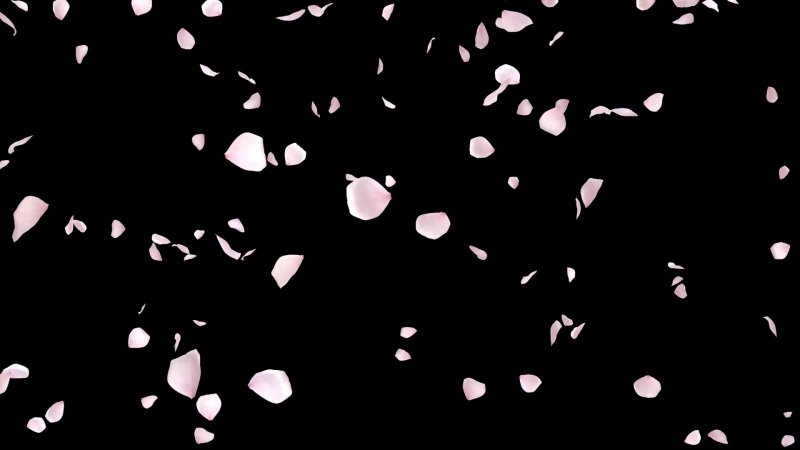 Падающие листья Сакуры