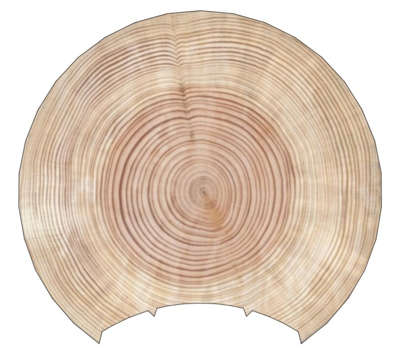 Срез бревна