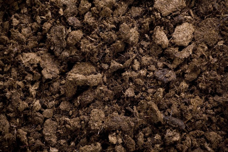 Торф Торфяная почва