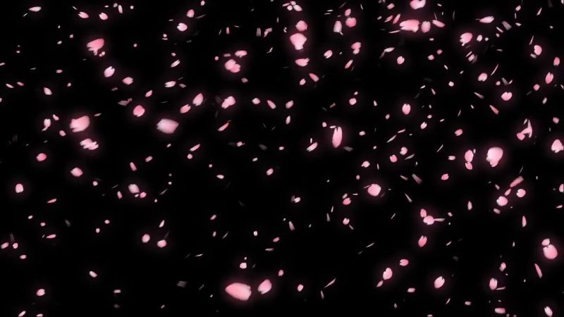 Лепесток Сакуры