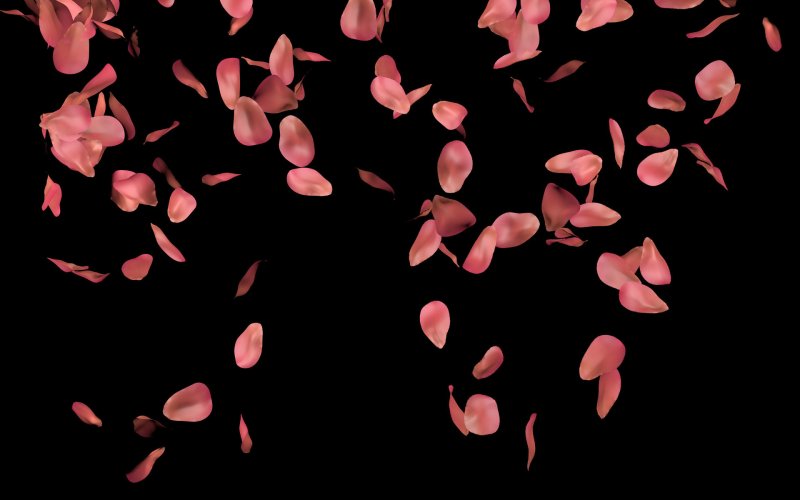 Rose Petals (лепестки роз)