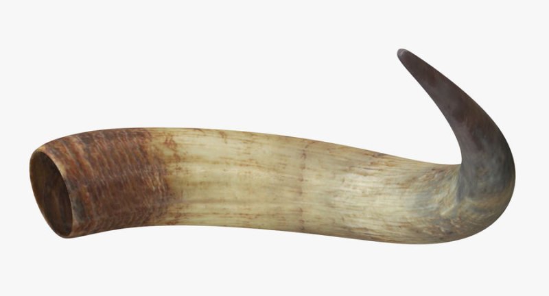 Текстура рога