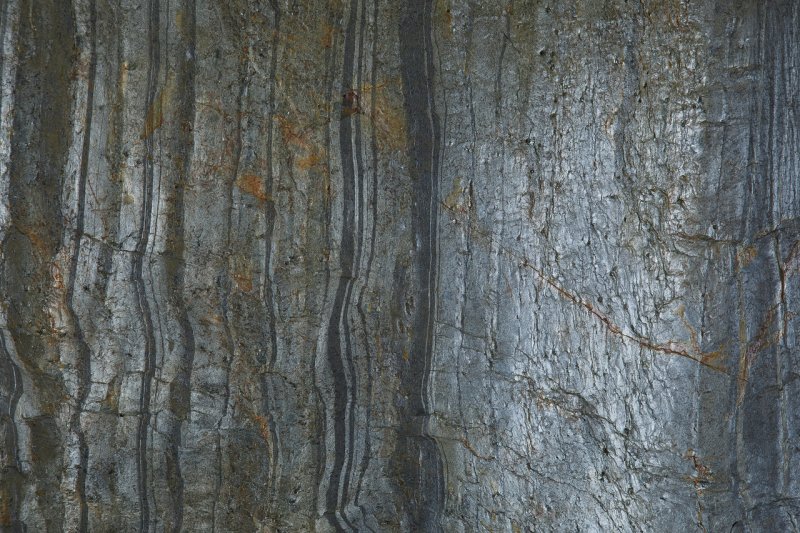 Burning Forest каменный шпон