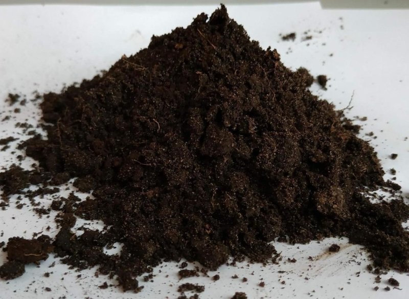 Низовой торф