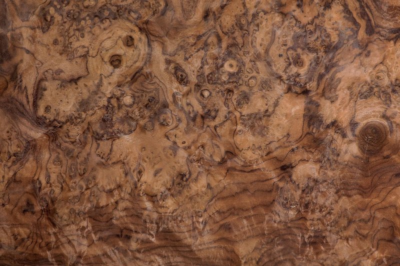 Walnut Burl