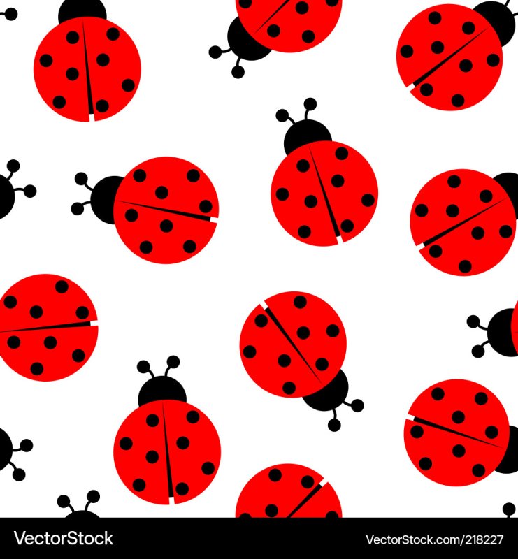 Леди баг Божья коровка на белом фоне