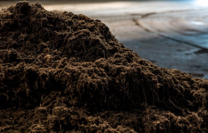 Торф природный