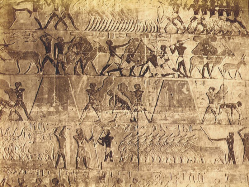 Египет текстура