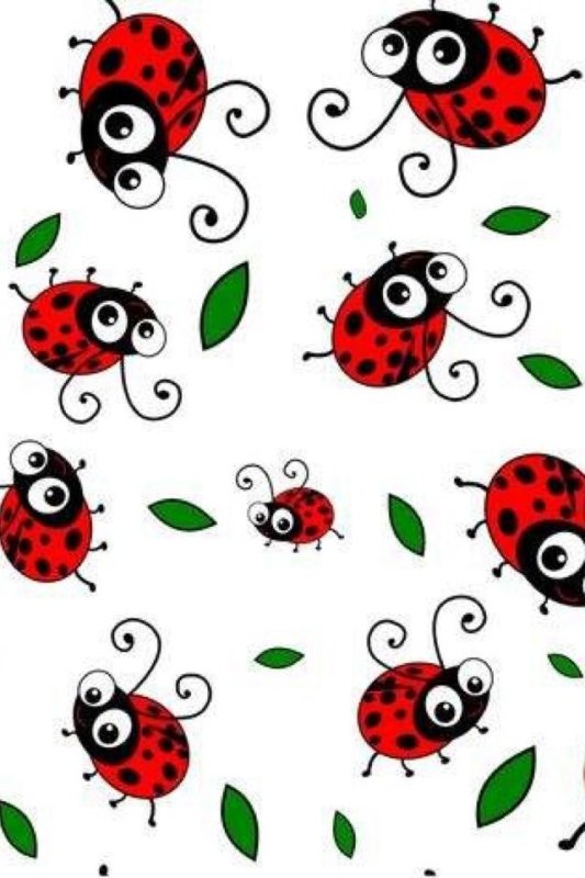 Божьи коровки