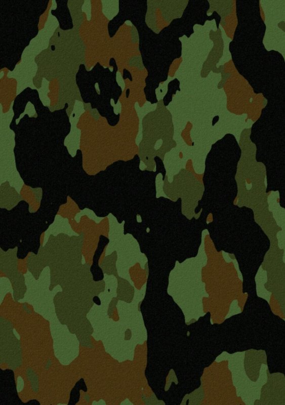 Woodland Camouflage 4r