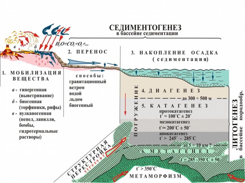 Этапы литогенеза