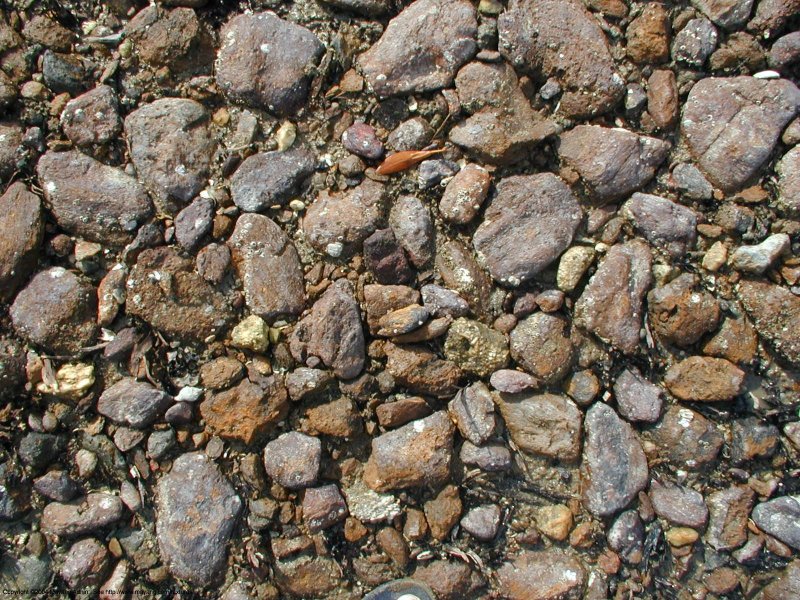 Каменистая почва