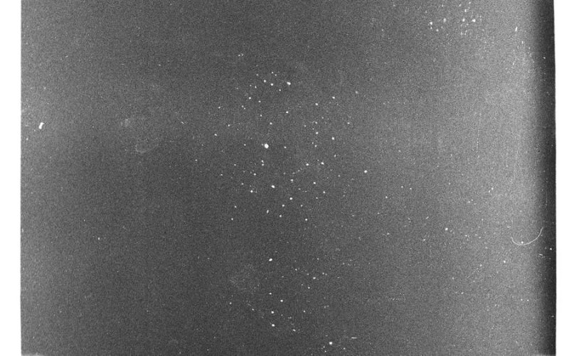 Скан пленочного зерна Ilford Delta 400pr