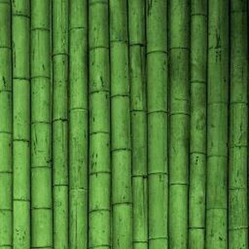 Бамбук текстура