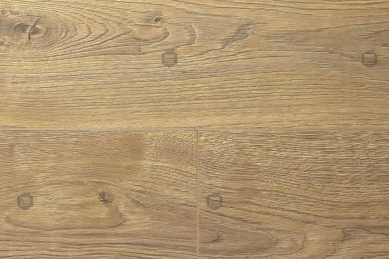 Лиственница Горная коричневая h3404 st38