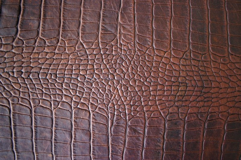 Фактура кожи