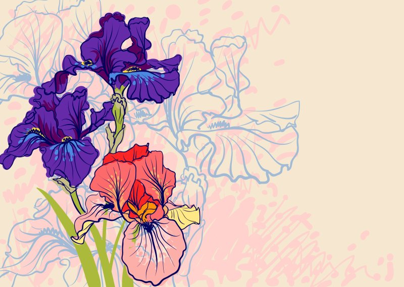 Ирисы силуэт