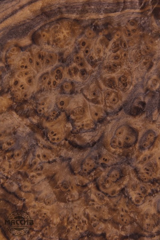 Шпон карельской березы