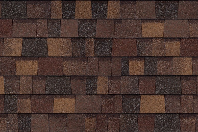 Катепал Драконий зуб