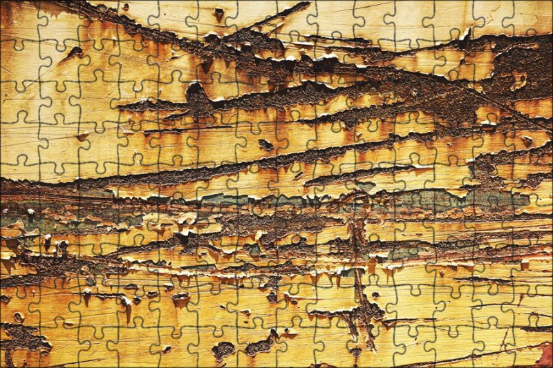 Фактура дерева