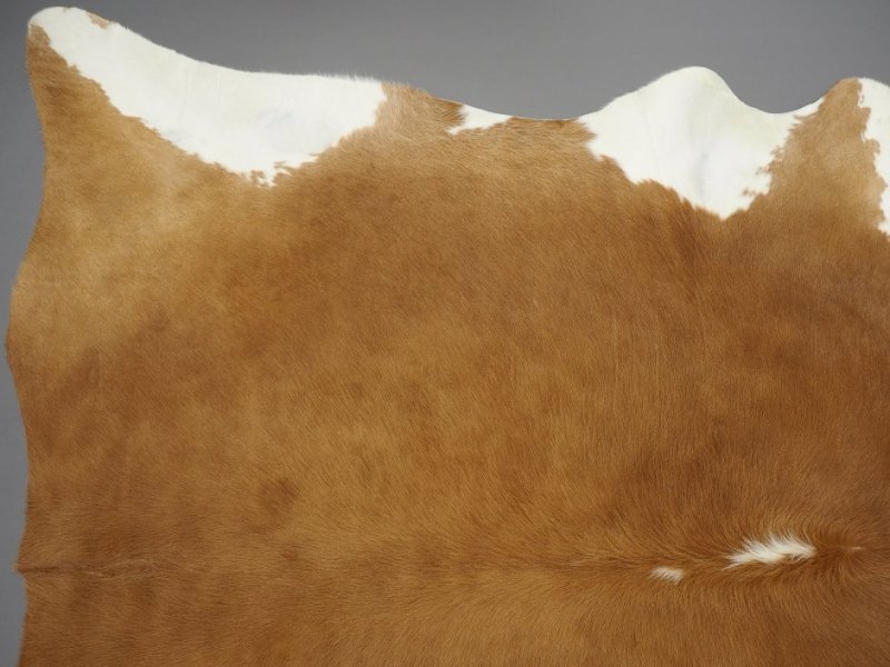 Кожа коровы