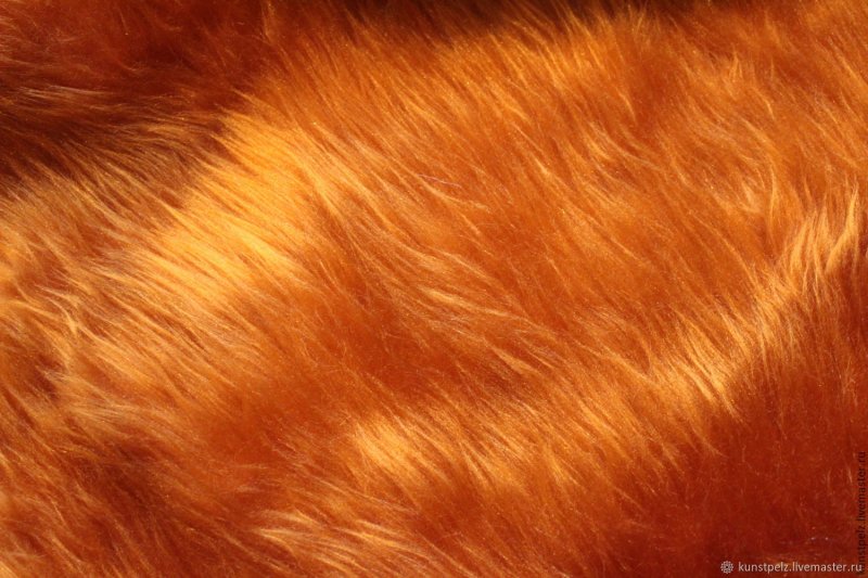 Рыжий мех