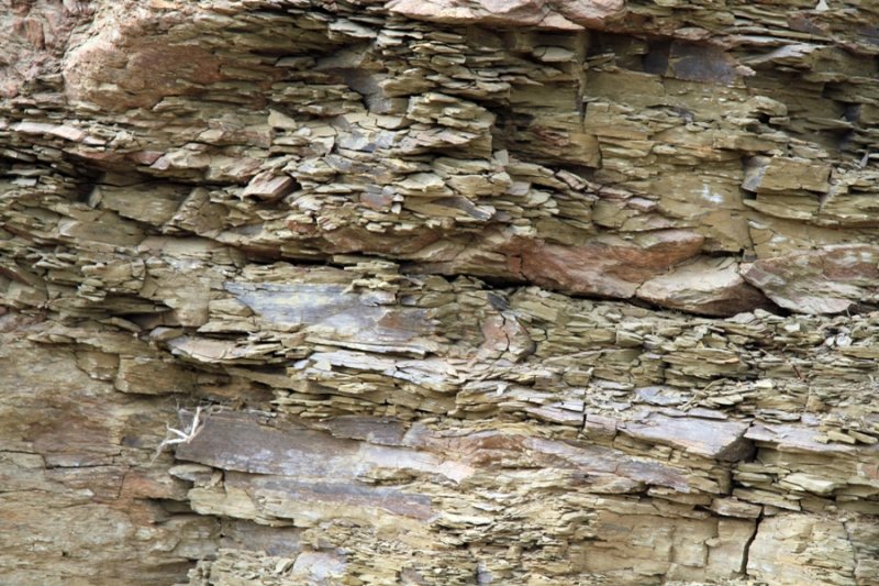 Углисто-глинистые сланцы