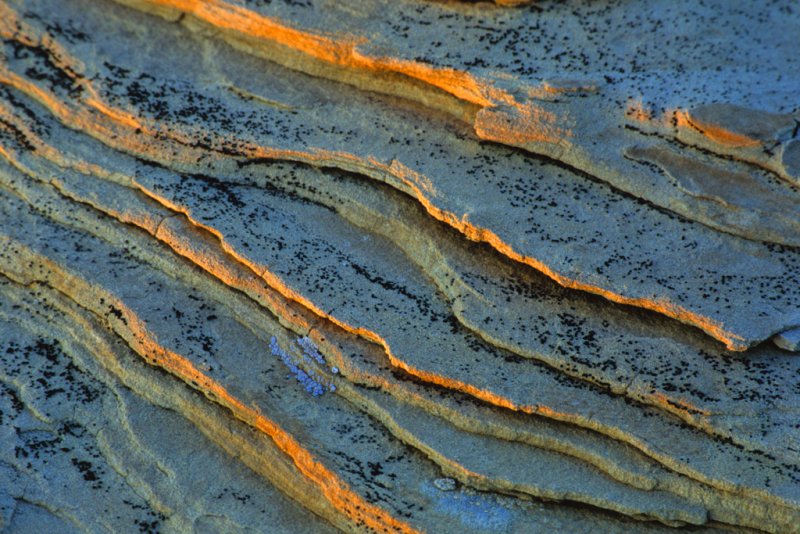 Сланцеватые горные породы