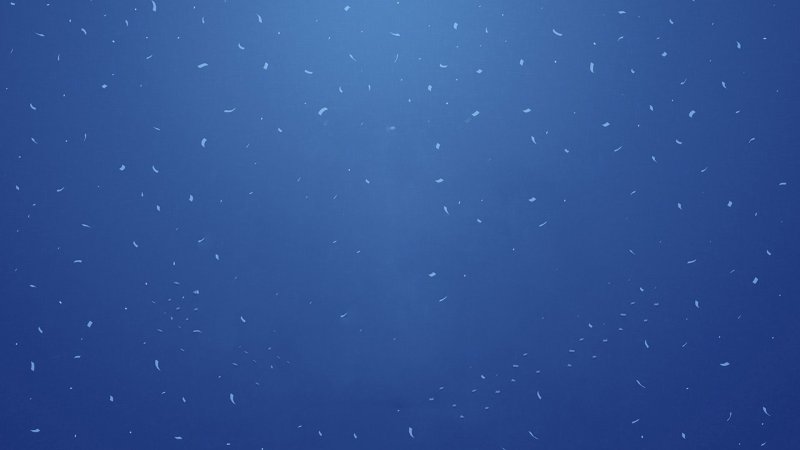 Фон однотонный