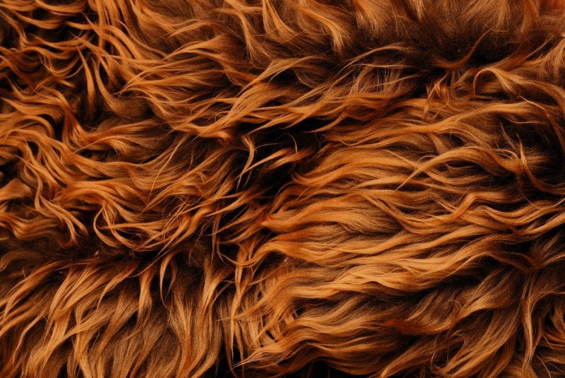 Рыжий мех