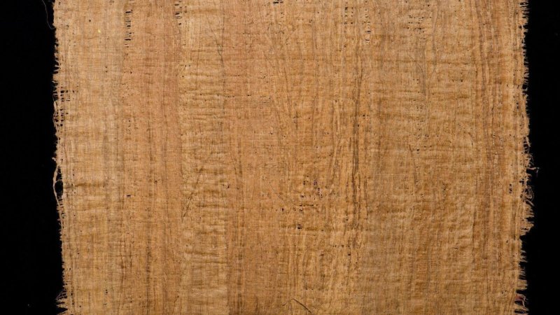 Папирус фон