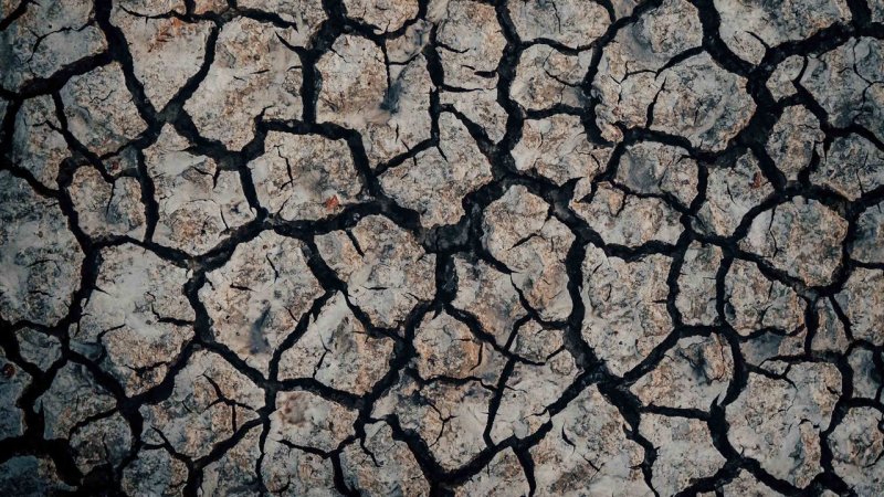 Потрескавшаяся земля