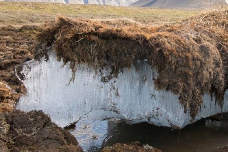 Виктор Ремизов Вечная мерзлота