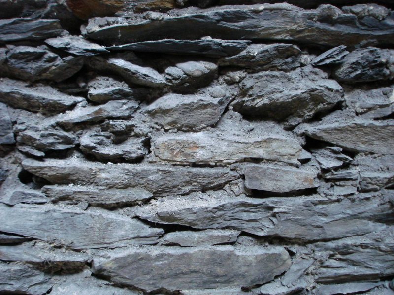 Углисто-глинистые сланцы