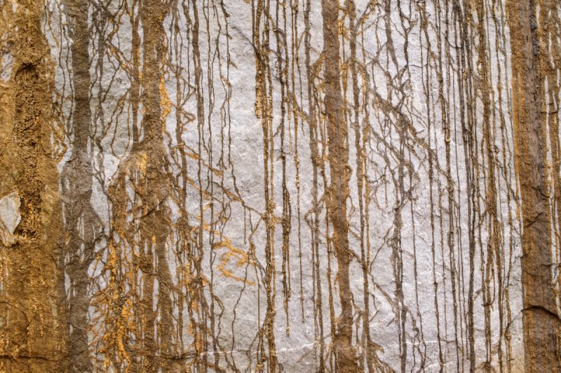 Шпон карельской березы