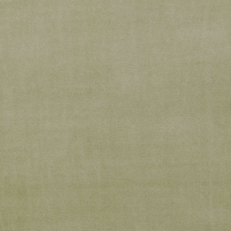 Текстура ткани болотного цвета