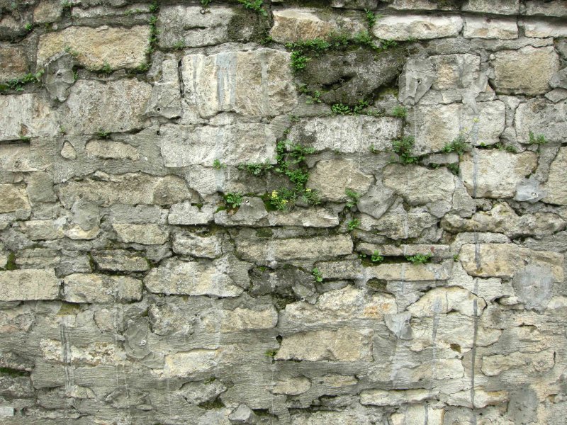 Фактура стены