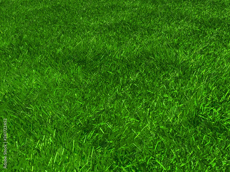 Смородина Альпийская ribes alpinum