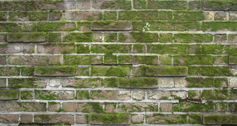 Замшелые каменные кирпичи