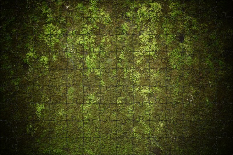 Текстура травы