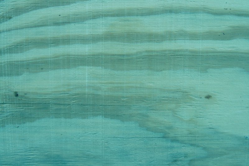 Текстура дерева