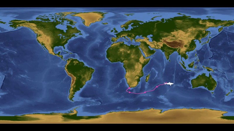 Текстура земли